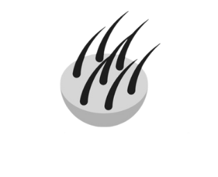 King Hair Fibers